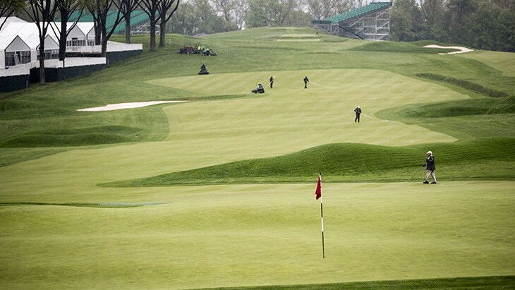 We were up with the dew-sweepers on Wednesday...