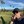 DPeak