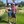 NorthTXTitleistGuy