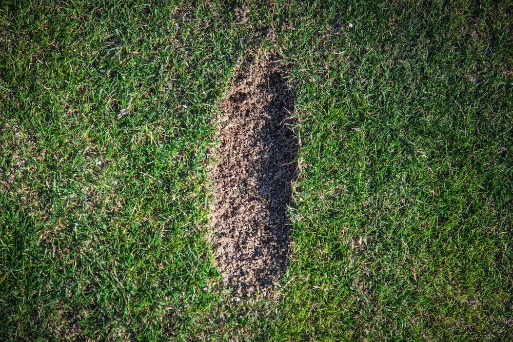Digger divot